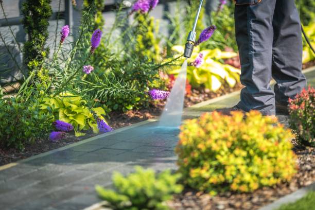 Best Paint Preparation  in Eastlawn Gardens, PA